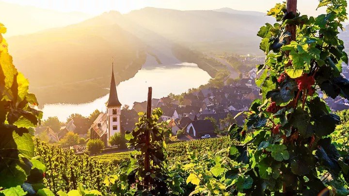  第 3 天  在莱茵兰享受观光游船  阿姆斯特丹  博帕德  圣戈尔  海德堡  莱茵兰