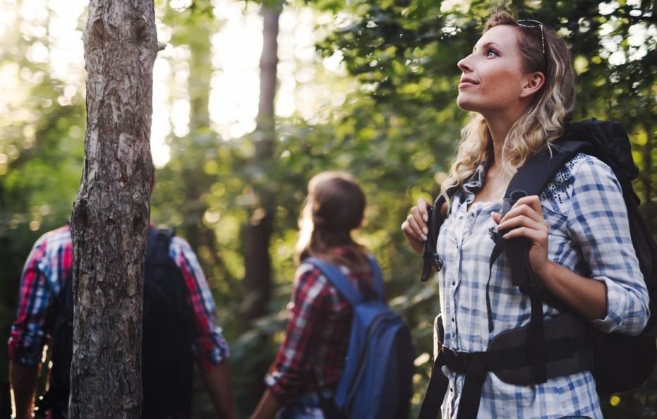 埃菲尔的度假别墅（德国）