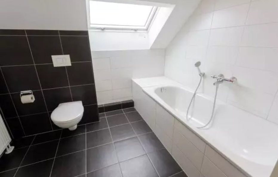 博登湖舒适别墅 6 D(德国)