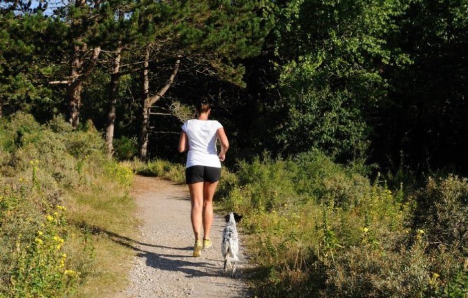 多米奥度假村（法国）