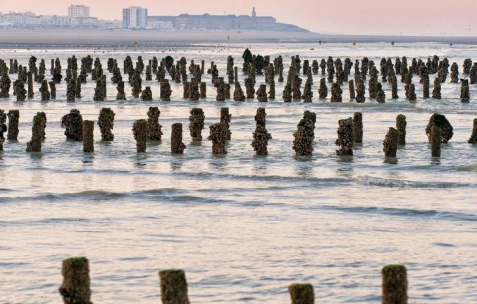 多米奥度假村（法国）