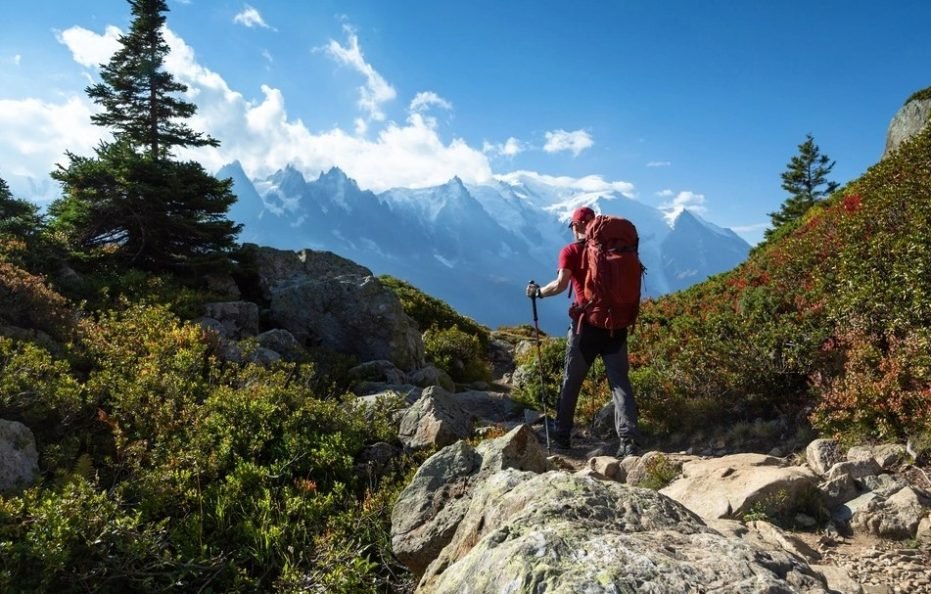 勃朗峰脚下的四季公寓（奥地利）