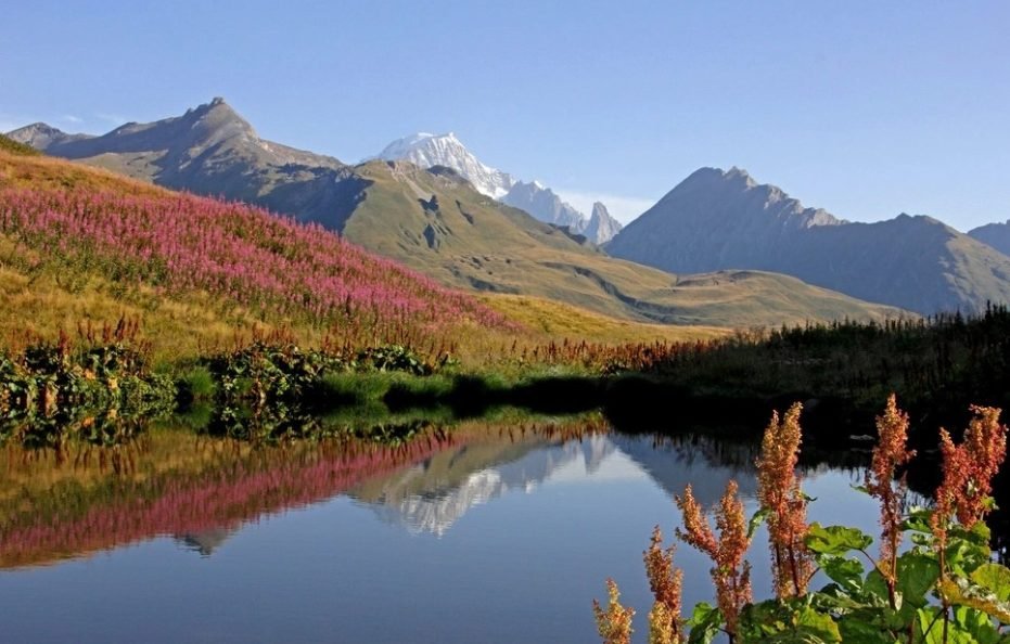 勃朗峰脚下的四季公寓（奥地利）