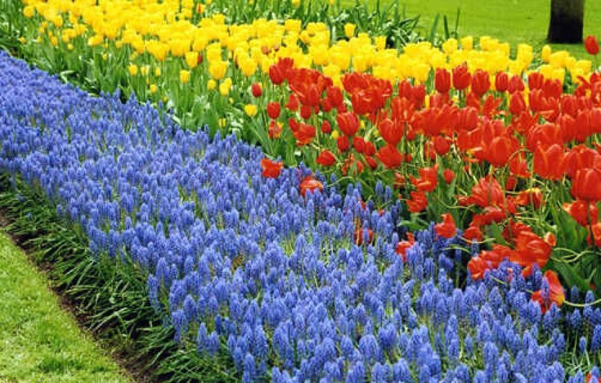 比利时和荷兰之心 11 日游（尊享全包旅行+签证国内机票）