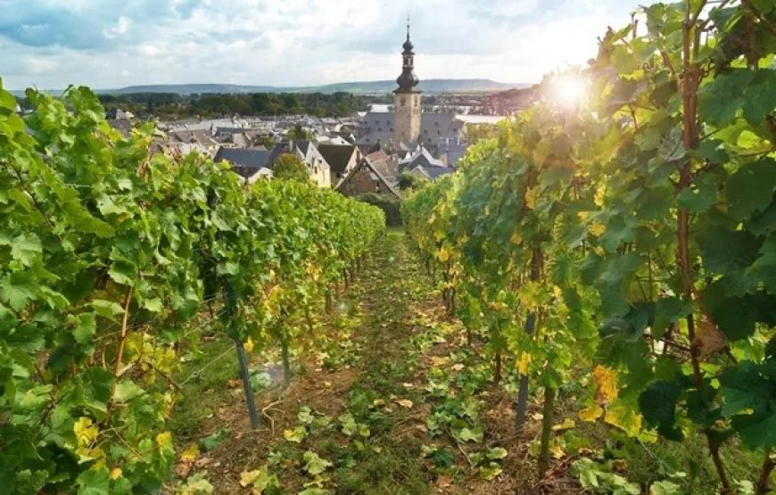 阿姆斯特丹到巴黎7日欧洲游（全包尊享旅游）