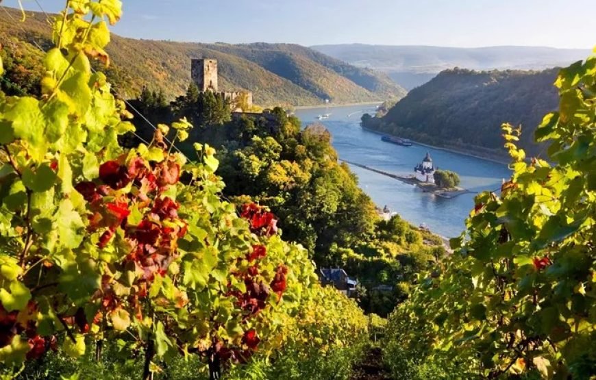 阿姆斯特丹到巴黎7日欧洲游（全包尊享旅游）