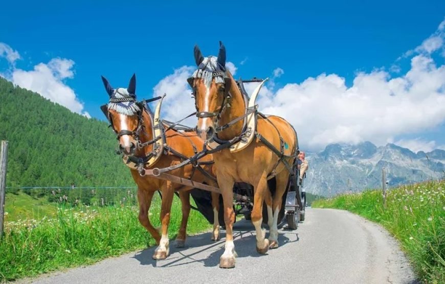 阿姆斯特丹到巴黎7日欧洲游（全包尊享旅游）