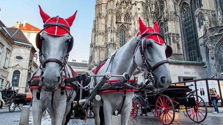 第 17 天  ：去维也纳的路上  威尼斯  维也纳