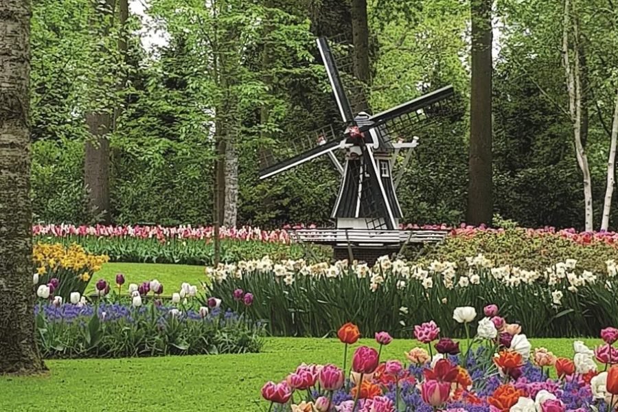 比利时、卢森堡和荷兰的商务之旅（全包商务旅游+签证机票）