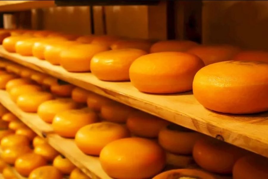 阿姆斯特丹：Go City Explorer Pass – 选择 3 到 7 个景点