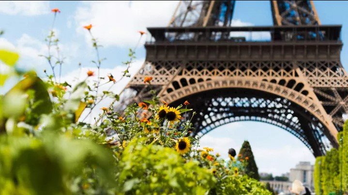 第 2 天 ： 探索巴黎的景点  巴黎