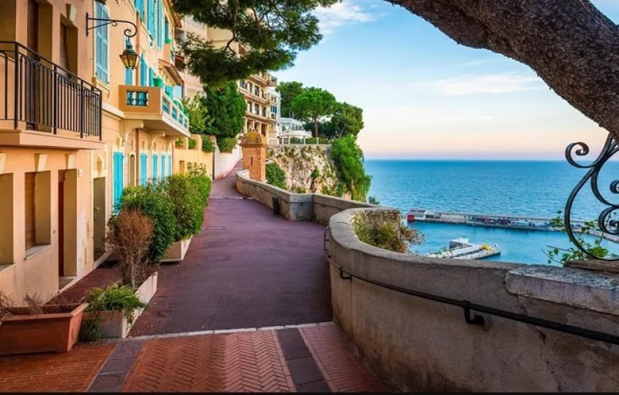 巴黎、里昂、里维埃拉和阿维尼翁 9 日法国之旅 （单身者之旅）