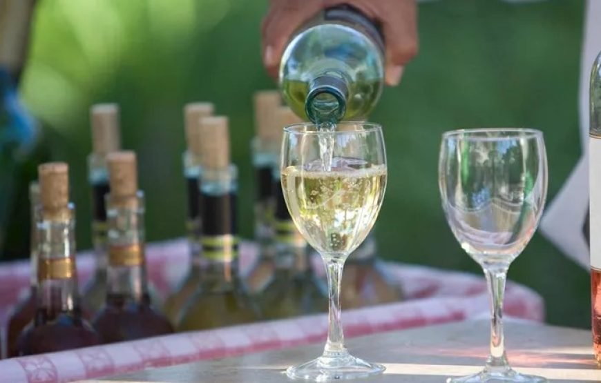 巴黎、里昂、里维埃拉和阿维尼翁 9 日法国之旅 （单身者之旅）