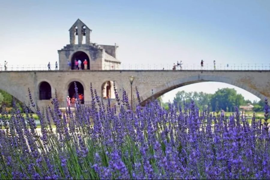 巴黎、里昂、里维埃拉和阿维尼翁 9 日法国之旅 （单身者之旅）