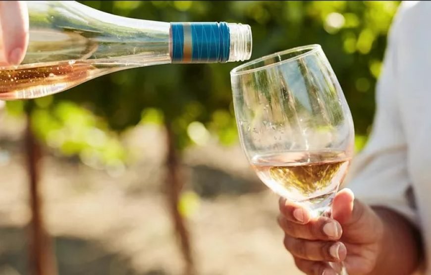 巴黎、里昂、里维埃拉和阿维尼翁 9 日法国之旅 （单身者之旅）