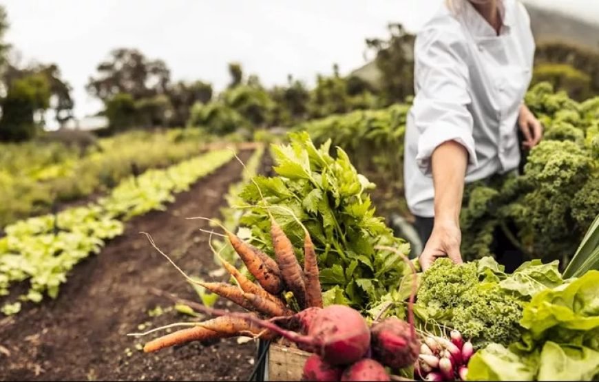 巴黎、里昂、里维埃拉和阿维尼翁 9 日法国之旅 （单身者之旅）