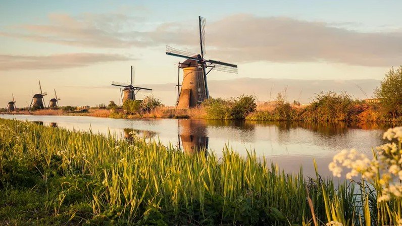 第4天  前往阿纳姆和聚特芬  鹿特丹  阿纳姆  聚特芬