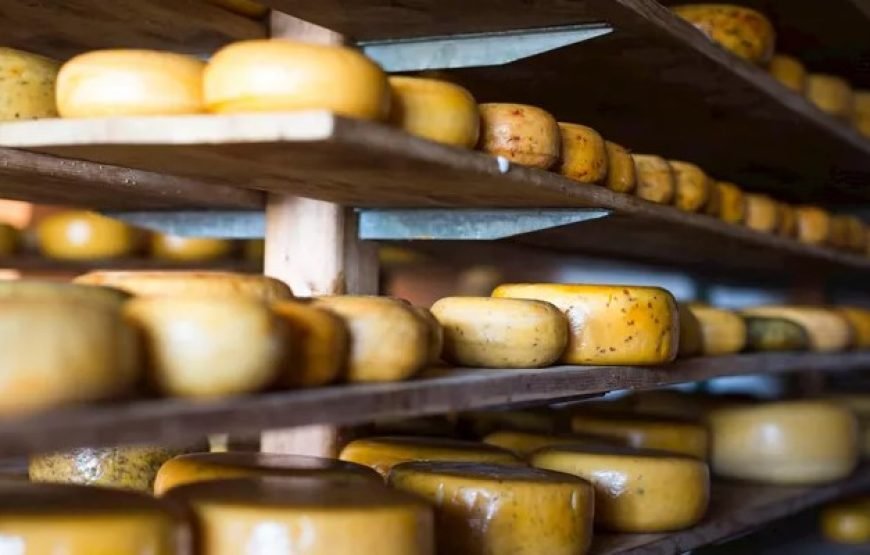 荷兰之最：阿姆斯特丹和鹿特丹 7 日荷兰之旅（普通半自助旅游）