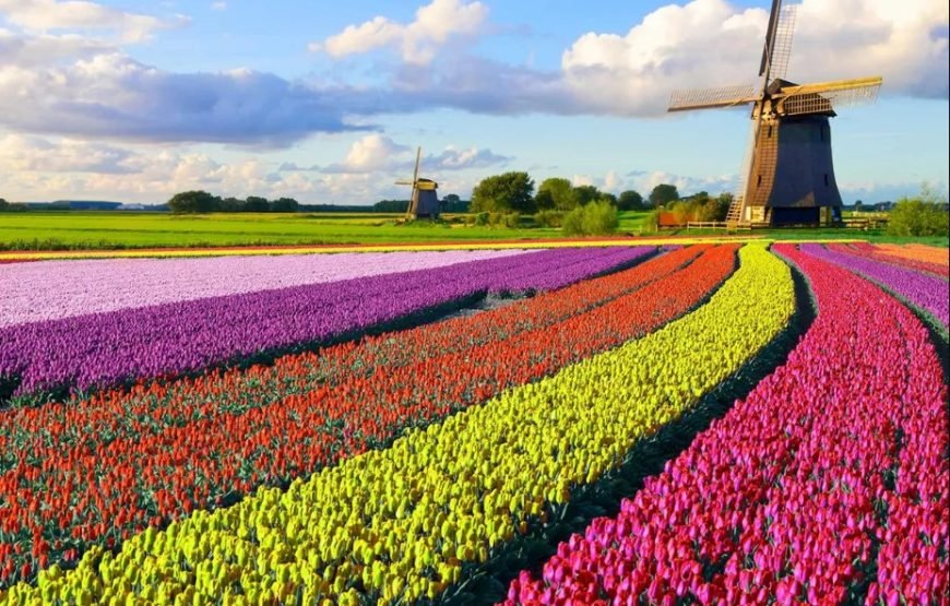 荷兰之最：阿姆斯特丹和鹿特丹 7 日荷兰之旅（普通半自助旅游）