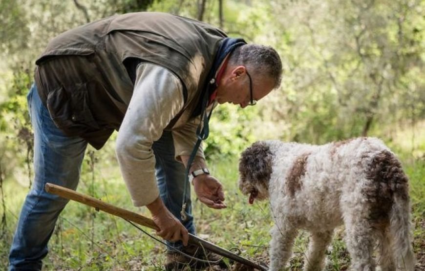 西班牙北部终极奢华私人美食之旅（情人节特别礼物）
