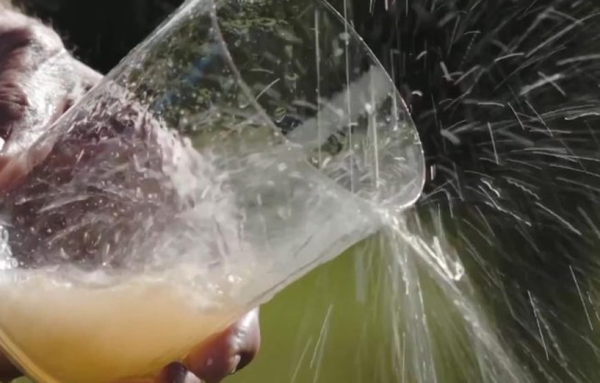 西班牙北部终极奢华私人美食之旅（情人节特别礼物）