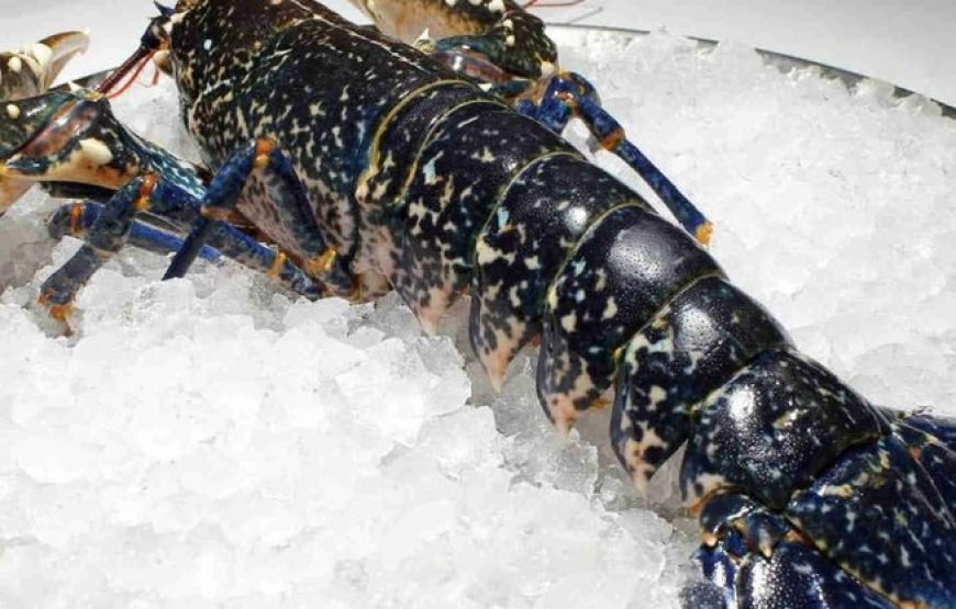 西班牙北部终极奢华私人美食之旅（情人节特别礼物）