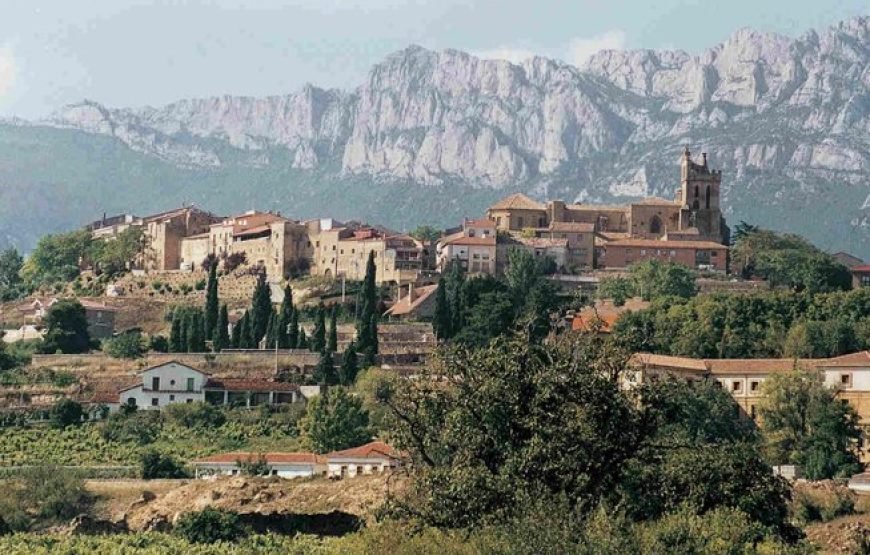 西班牙北部终极奢华私人美食之旅（情人节特别礼物）