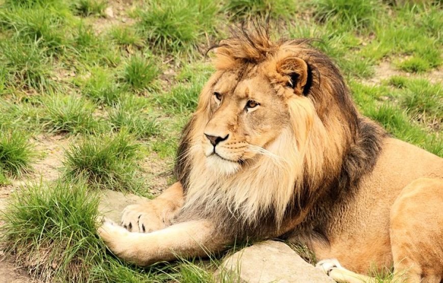 比利时深度之最（签证+机票）