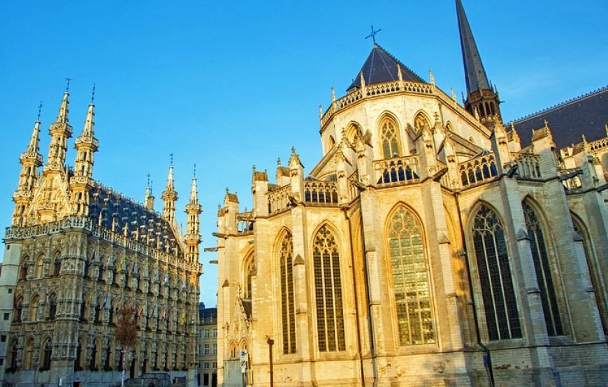 比利时深度之最（签证+机票）