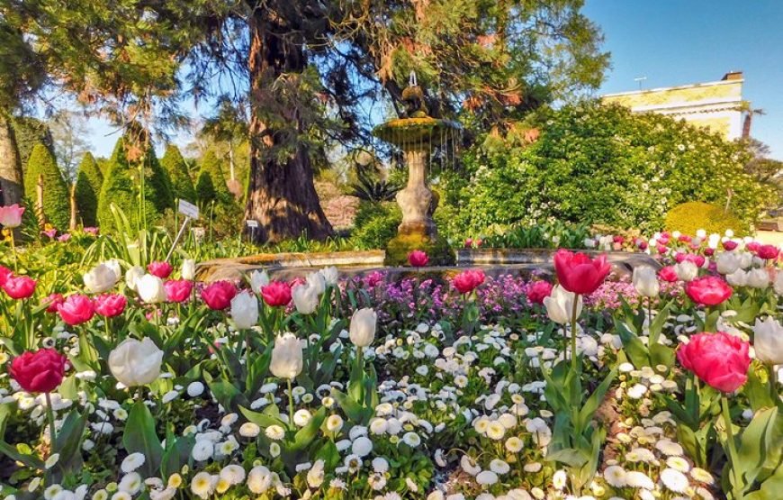 比利时深度之最（签证+机票）