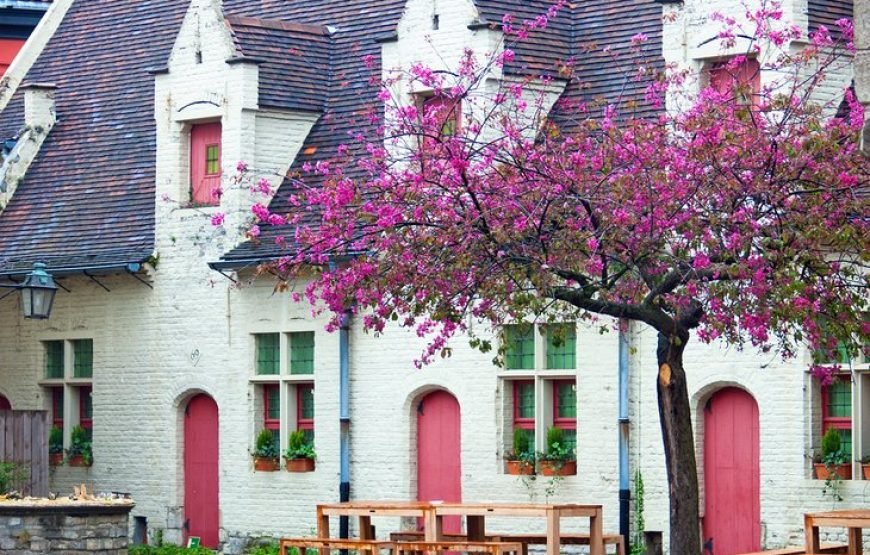 比利时深度之最（签证+机票）