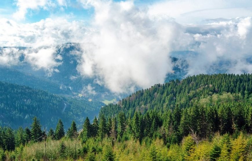 欧洲七国德国深度之最（全包旅游+签证机票）