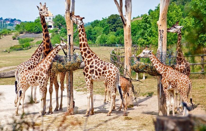 欧洲七国德国深度之最（全包旅游+签证机票）
