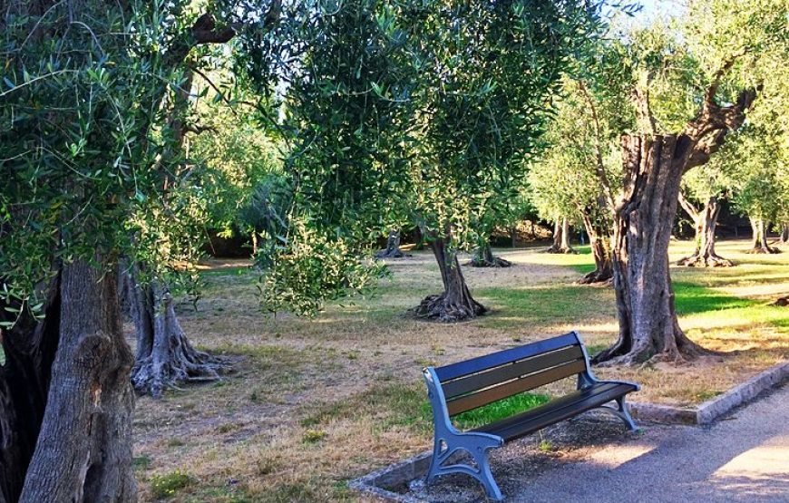 欧洲八国法国深度之最