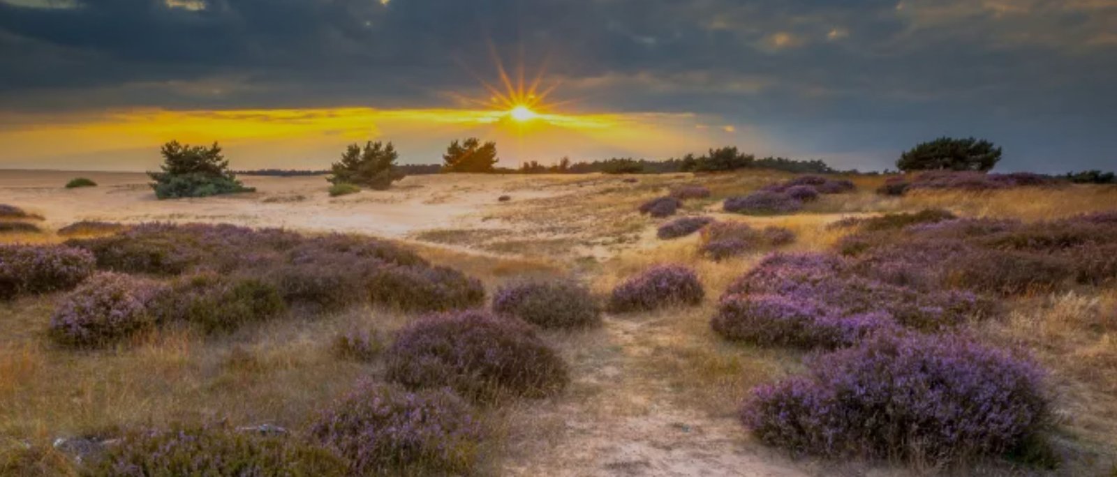 第 21 天：阿珀尔多伦