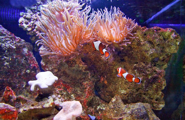 第二十一天：埃森